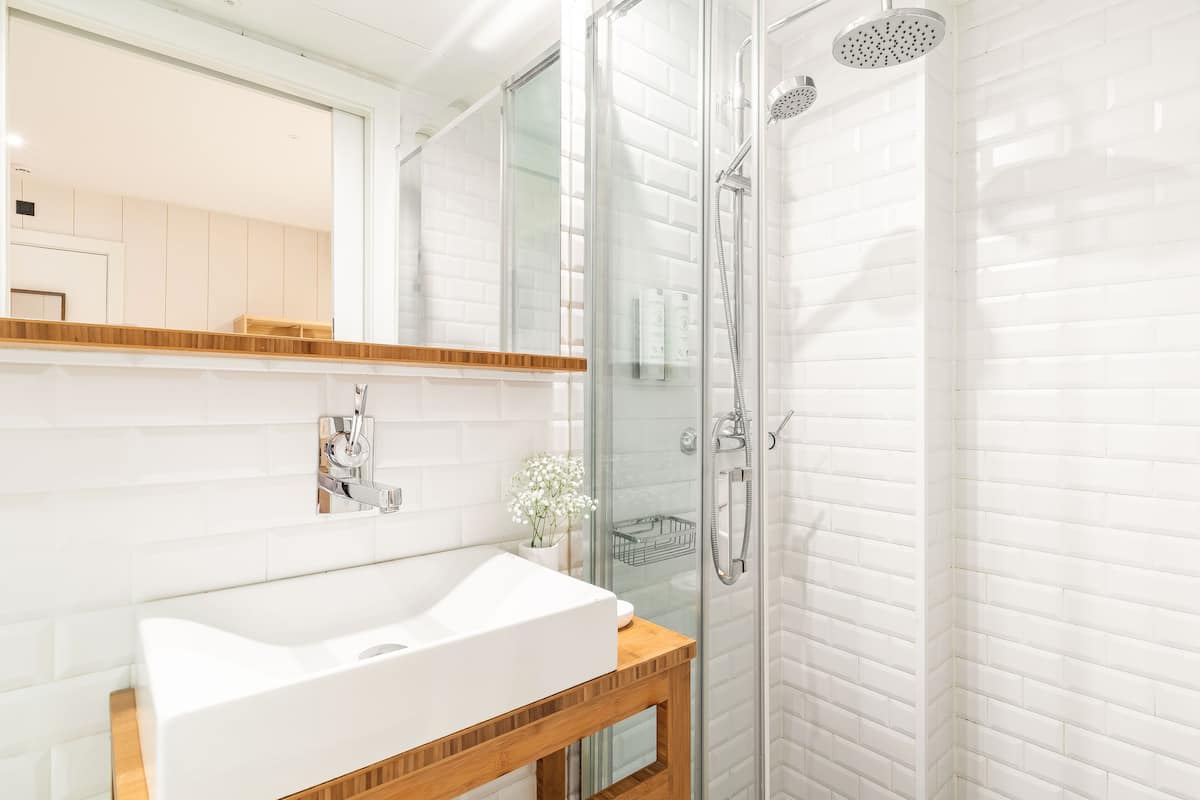 Economy Room | Bathroom | Hair dryer, towels, soap, shampoo