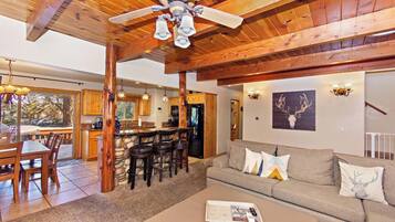 TV, fireplace, foosball