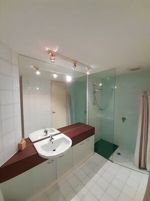 Shower, hair dryer, towels, soap