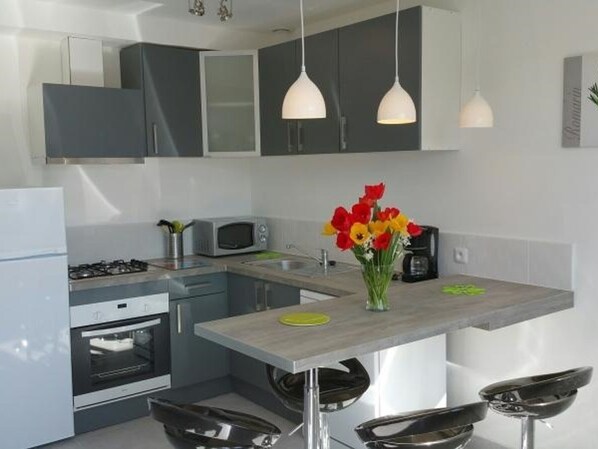 Fridge, microwave, oven, stovetop - Central Apartment in La Roche-Posay with Pool and Terrace (La Roche-Posay)