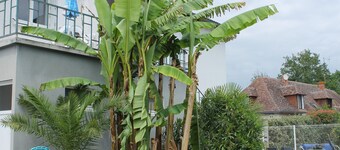 Central Apartment in La Roche-Posay with Pool and Terrace