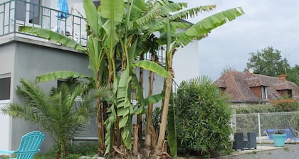 Central Apartment in La Roche-Posay with Pool and Terrace