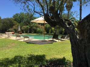 Alberca al aire libre 