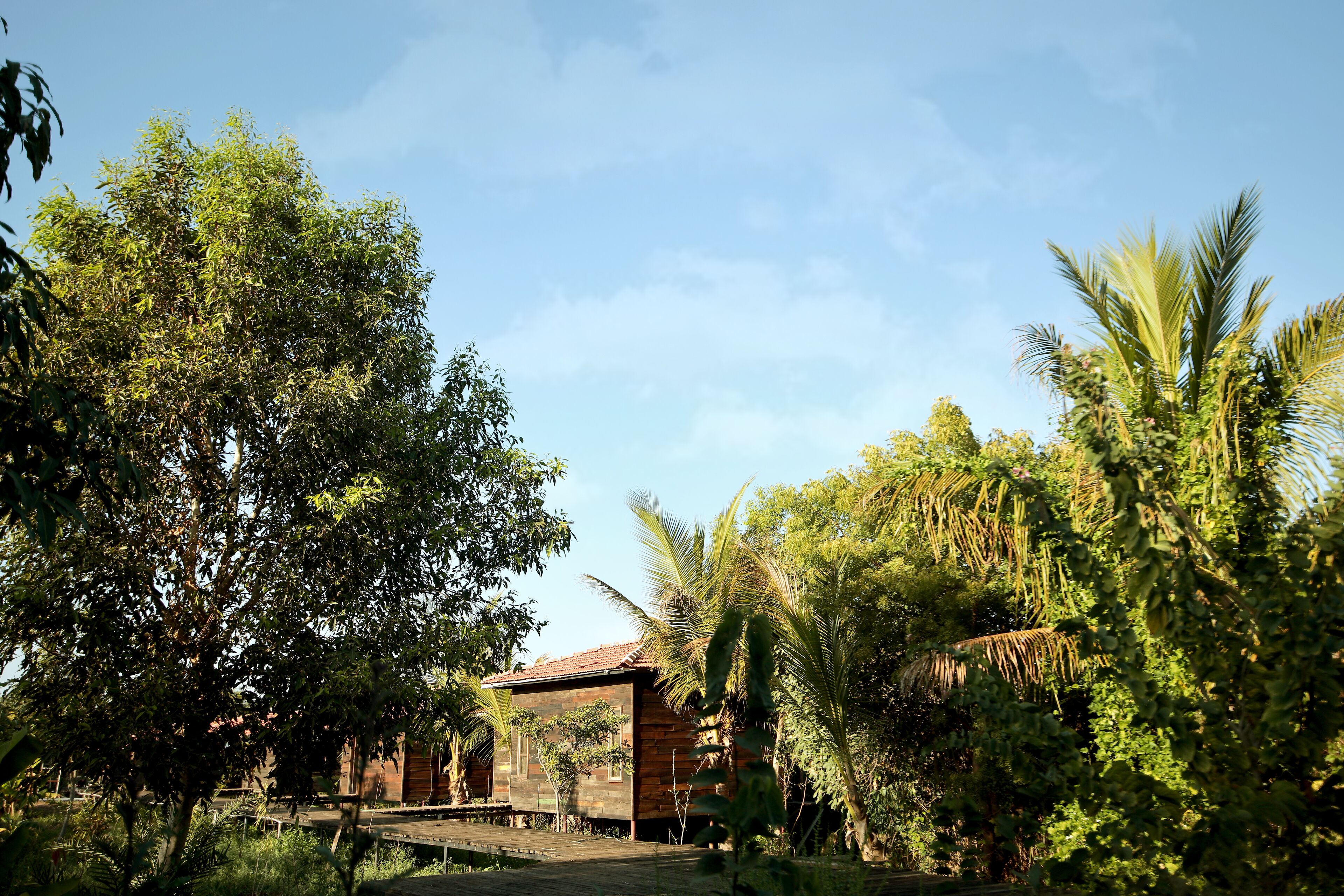 A wooden cabin surrounded by lush greenery and trees.