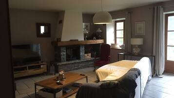 Télévision, cheminée, livres, écrans d'ordinateur