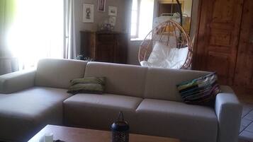 Télévision, cheminée, livres, écrans d'ordinateur