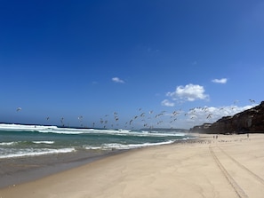 Playa