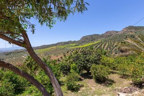 Miscellaneous - Magnificent country house with Pool. Great views and location! (Álora)