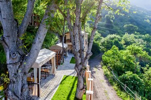 Un restaurante tipo casa en árbol con terraza y vistas al bosque circundante.