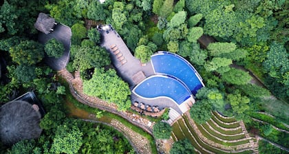 Naked Stables