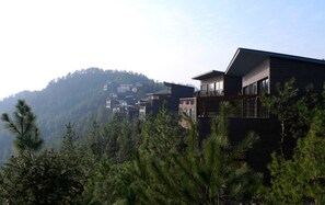 Hill Side Tree Top Villa - 4 Bedroom | Blackout drapes, free WiFi - Naked Stables Resort (Huzhou)