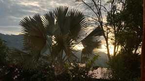 A garden with a palm tree and a view of the sunset. - Captivating 4-bed Chalet Las Casitas en el Aire (San Francisco)
