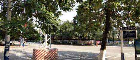A tree-lined street with a striped barrier and directional sign.