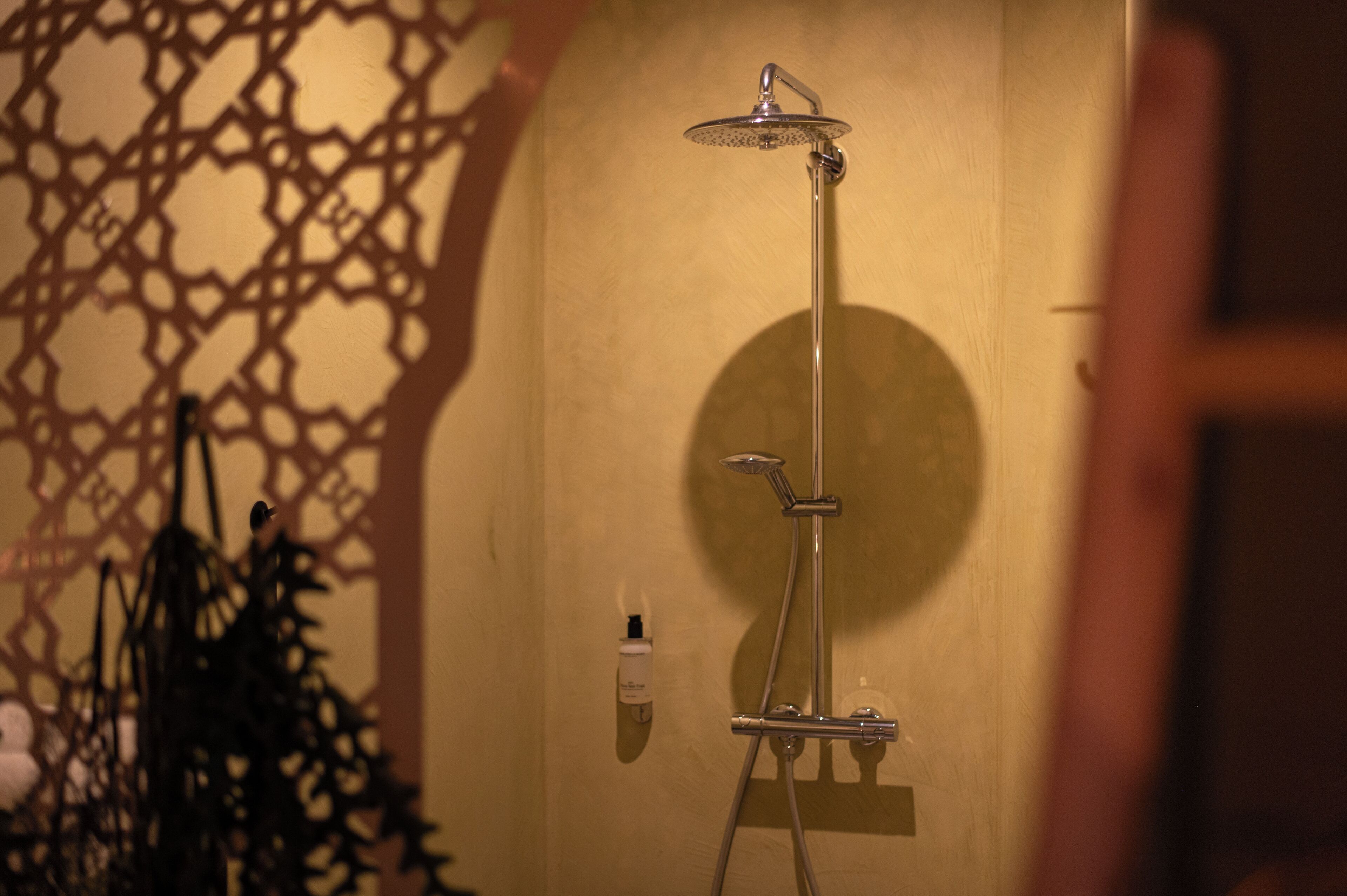 Eine Dusche mit Handbrause und Bedienfeld an der Wand.