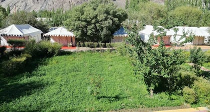 The Ladakh Summer Camp