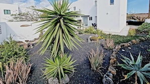 Un bâtiment moderne de couleur blanche, doté d’un jardin agrémenté d’agaves et de rochers.