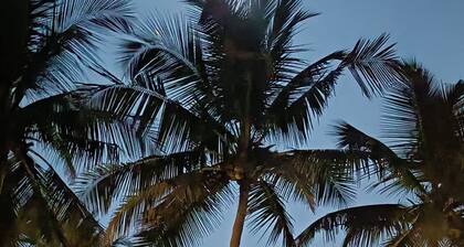 The village agonda beach cottages