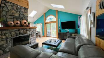 TV connectée, cheminée, lecteur de DVD, livres