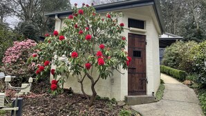A building with a traditional wooden door, surrounded by lush greenery and flowering plants. - Large Cottage - Heart of Olinda - Old Police station (Olinda)