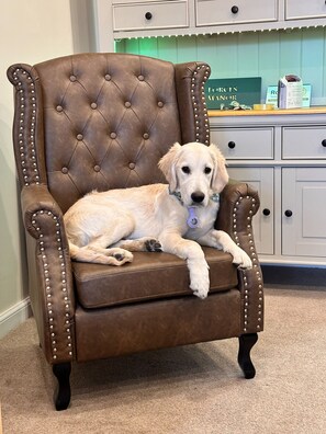 Interior - Forces Manor (Kingussie)