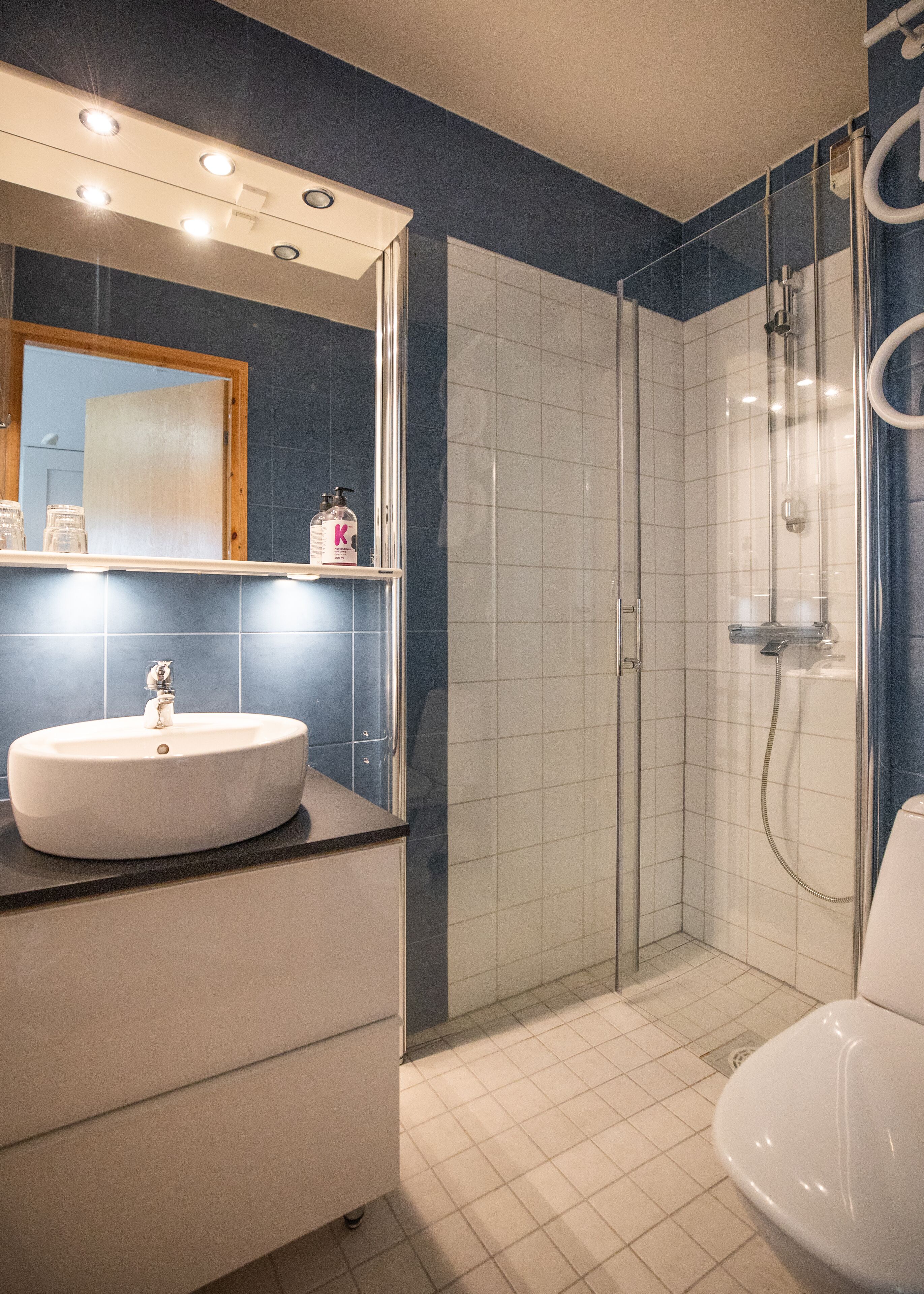 A bathroom with a white sink, a mirror, a shower enclosure, and a toilet.