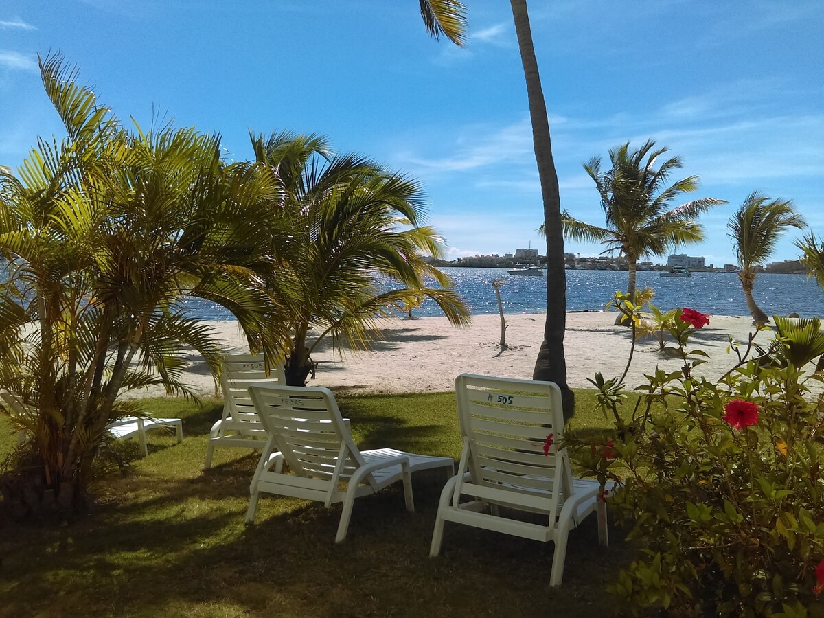 Imagen de perfil del propietario o de la propietaria