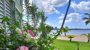A garden with pink flowers, a palm tree, and a view of the beach and ocean. - Beachfront the dream holiday (saint martin)