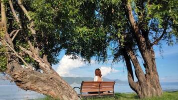 Un banc à l’ombre d’un arbre, près d’une étendue d’eau, avec une vue dégagée au loin.