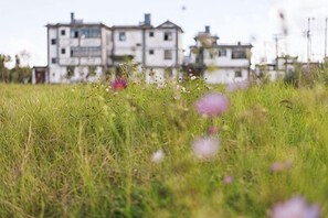 A field with wildflowers and a row of buildings in the background.