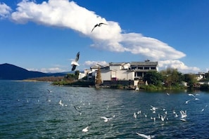 Miscellaneous - Meet Inn (Dali)