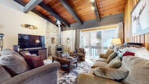 智能电视、壁炉、DVD 播放器