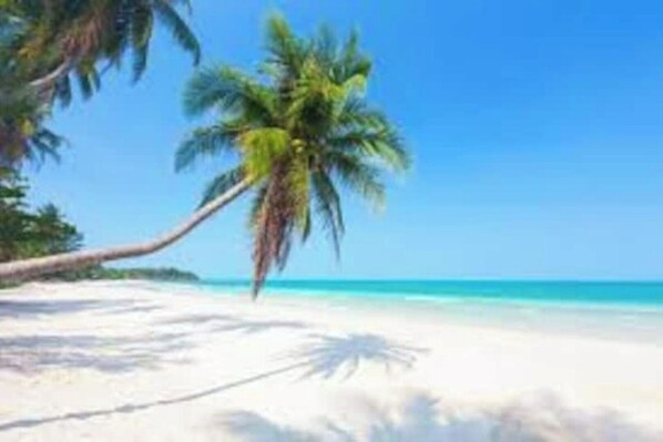Serviettes de plage