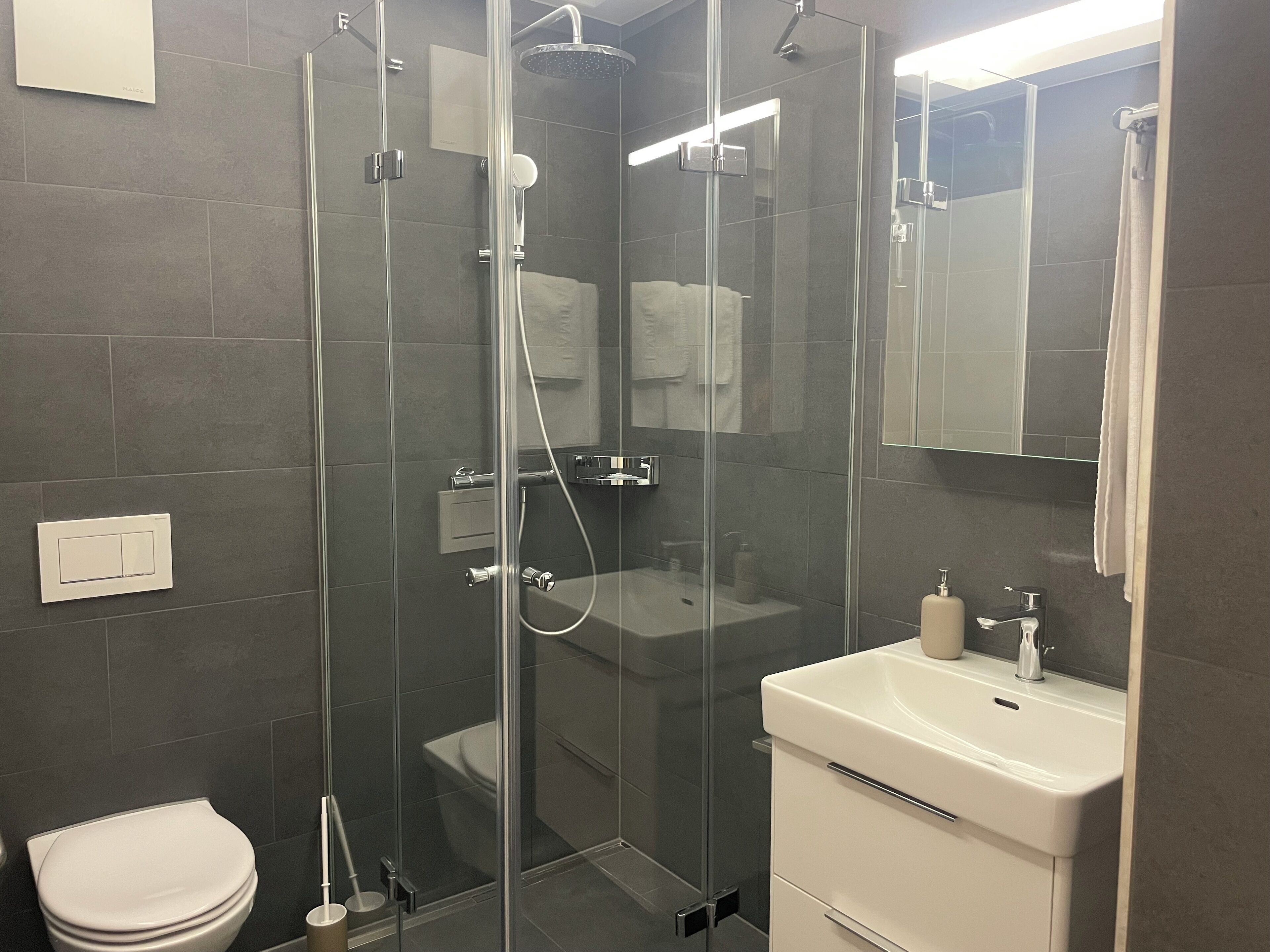 Ein modernes Badezimmer mit einer Duschkabine, einem weißen Waschbecken und einer Toilette.
