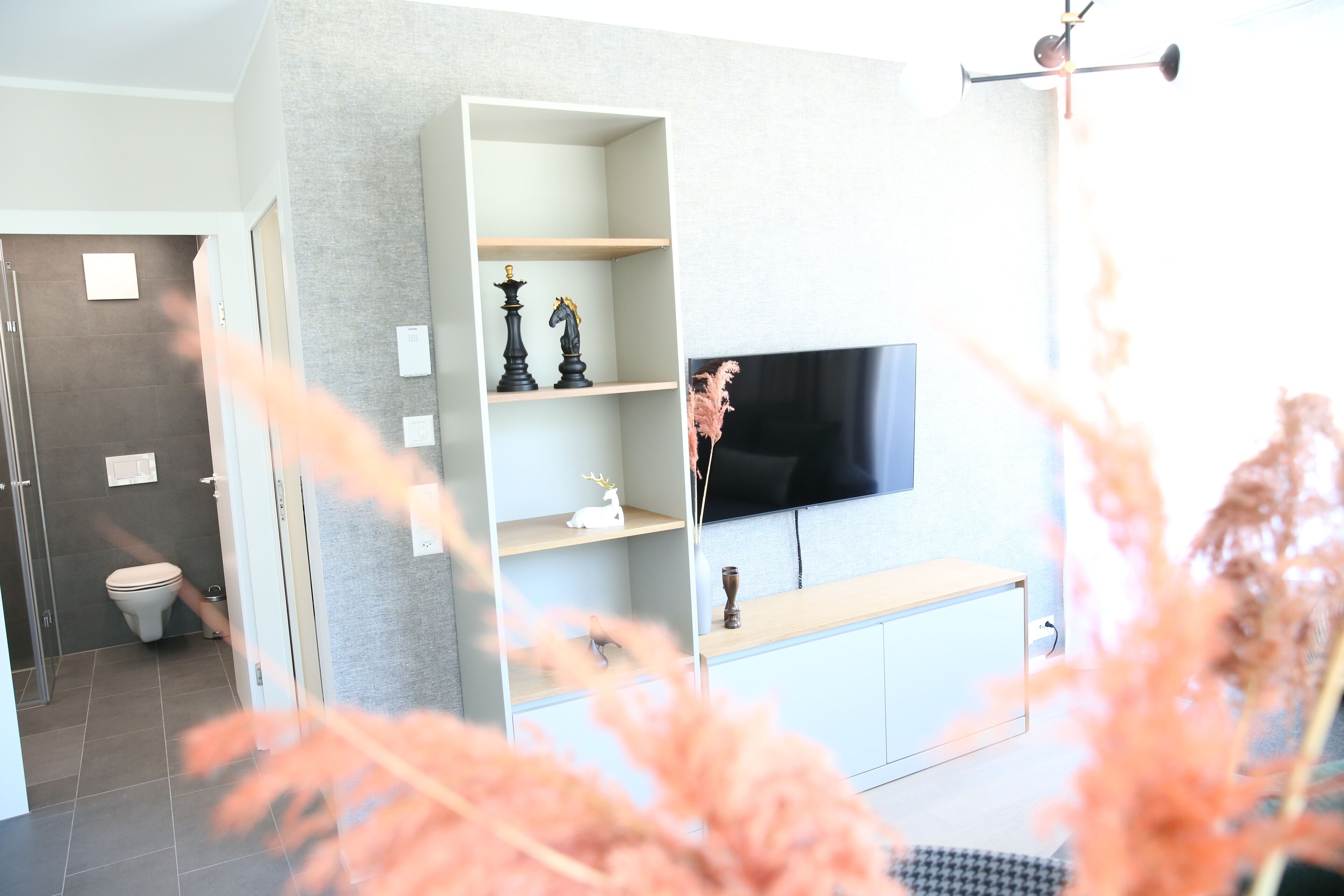 Un salon moderne avec un téléviseur fixé au mur, une étagère blanche et une salle de bain visible au fond.