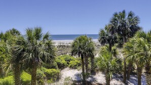 Ein Strand mit Palmen und freiem Blick auf den Ozean.