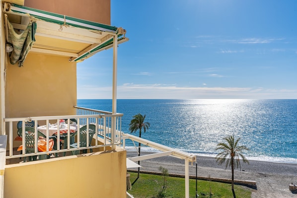 A balcony with a view of the ocean, a palm tree, and a beach.