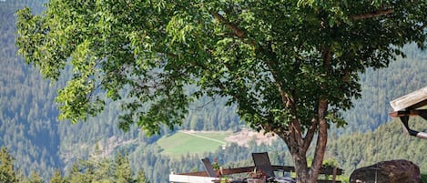 Terrasse/gårdhave