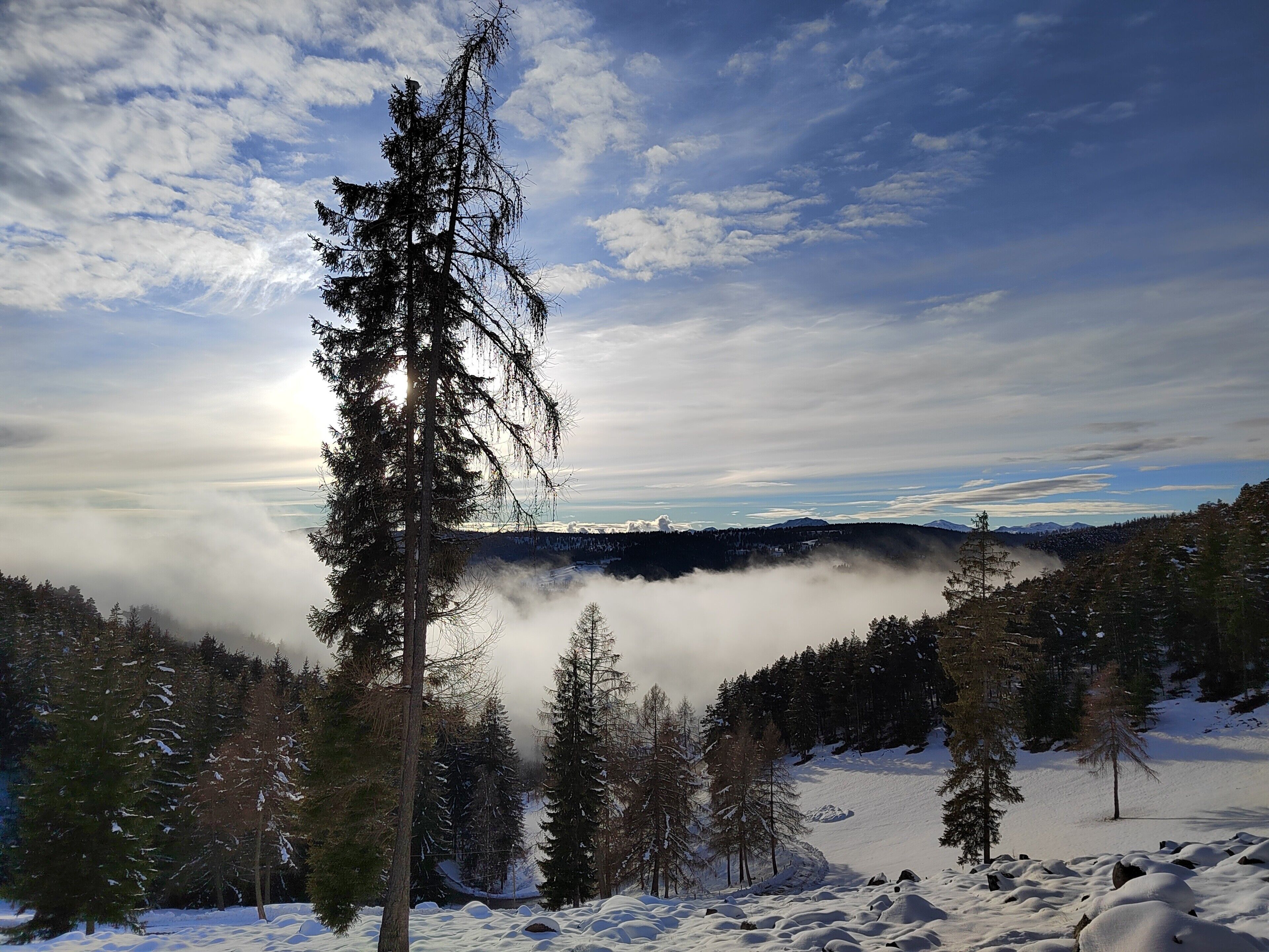 A snowy landscape with a prominent evergreen tree, a valley with a misty horizon, and a clear sky.