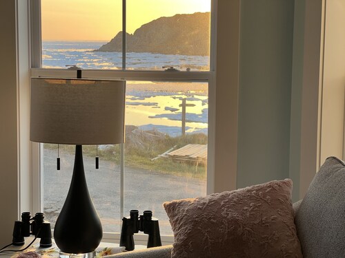 Ocean, Iceberg, Whale views!