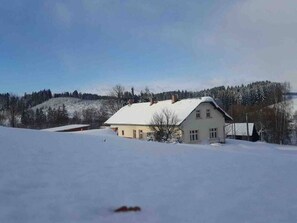 Set amidst a serene winter landscape, this cozy home features a simple, symmetrical design with a central chimney.