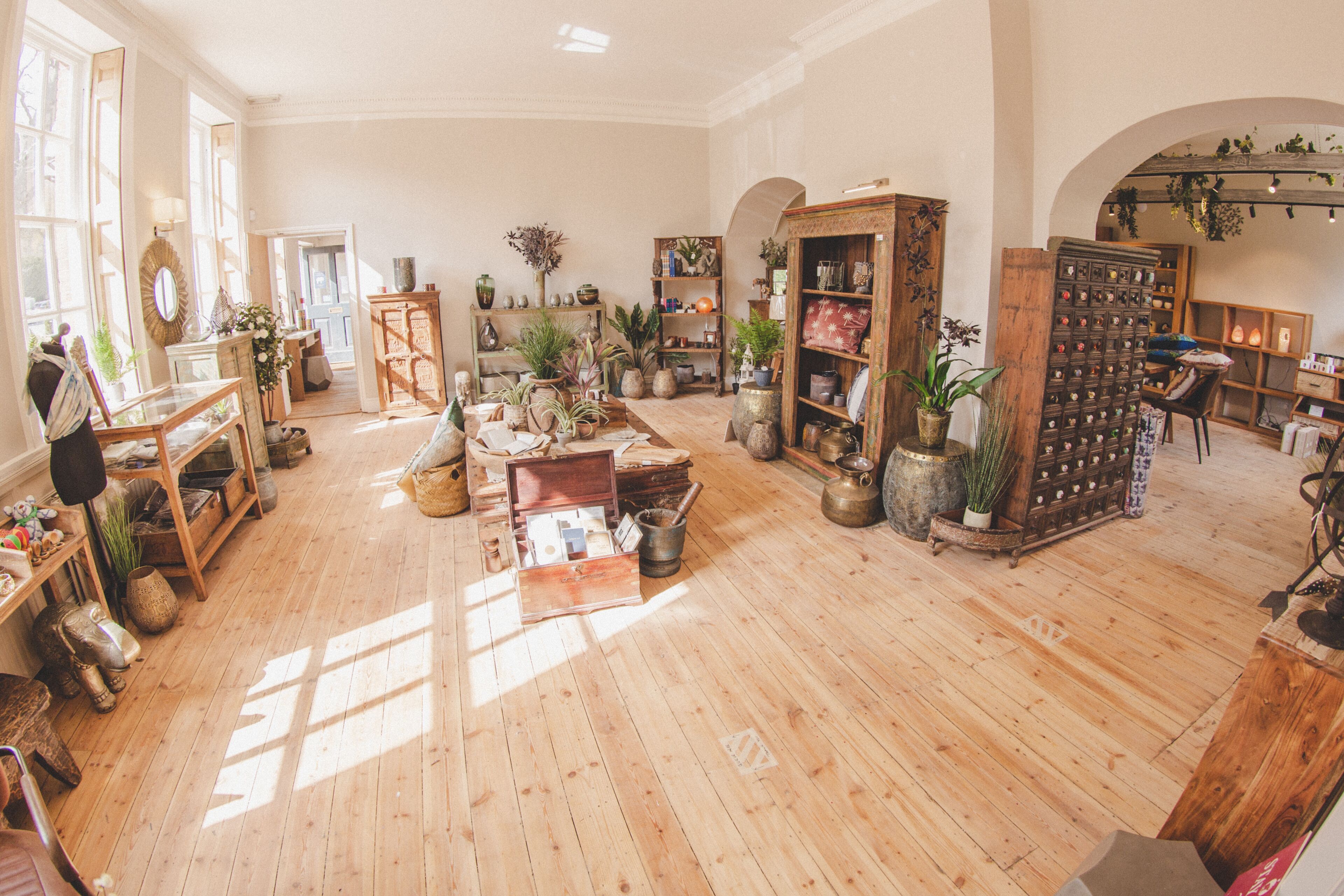 Una habitación amplia con suelos de madera, ventanas grandes, plantas y muebles varios.