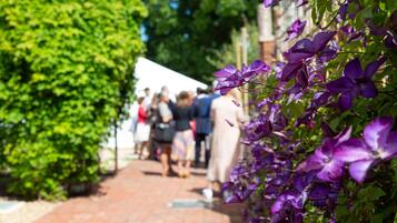 A pathway lined with purple flowers and green foliage, leading to a group of people in the distance.