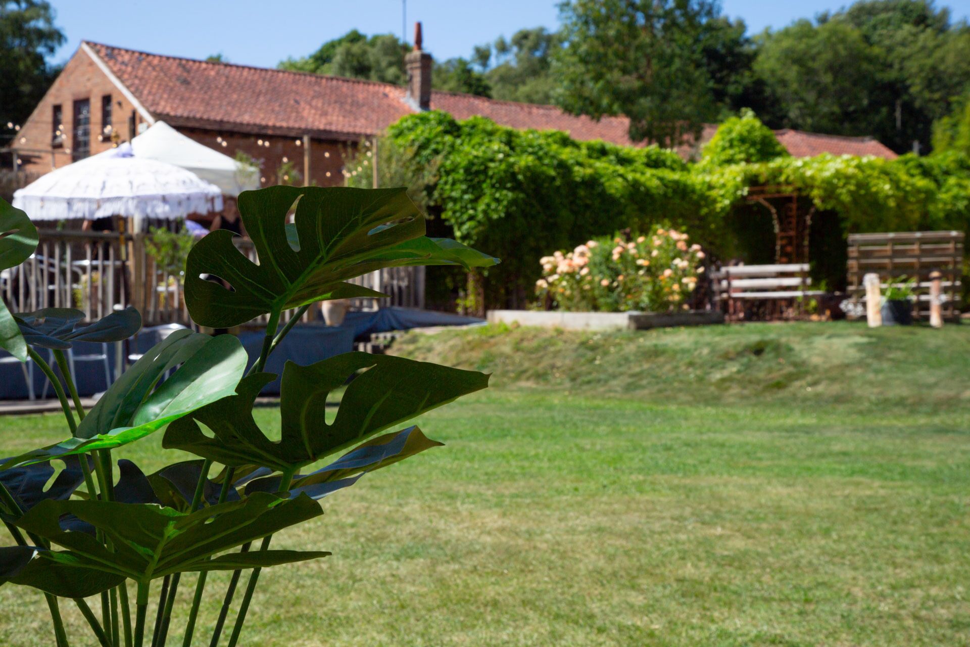 A grassy outdoor area with a building in the background.