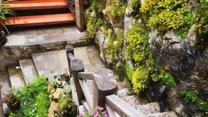 A stone staircase with wooden railings, surrounded by greenery and moss-covered rocks. - Prayer Wheel Sightseeing Inn (Shangri-La)