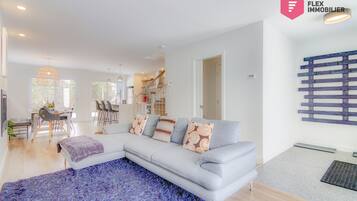 智能电视、壁炉、电子游戏、立体声音响