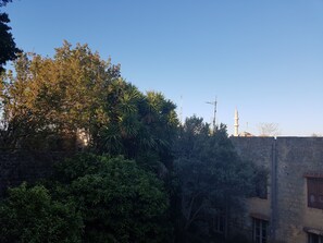 A courtyard with dense foliage, a stone wall, and a distant minaret.
