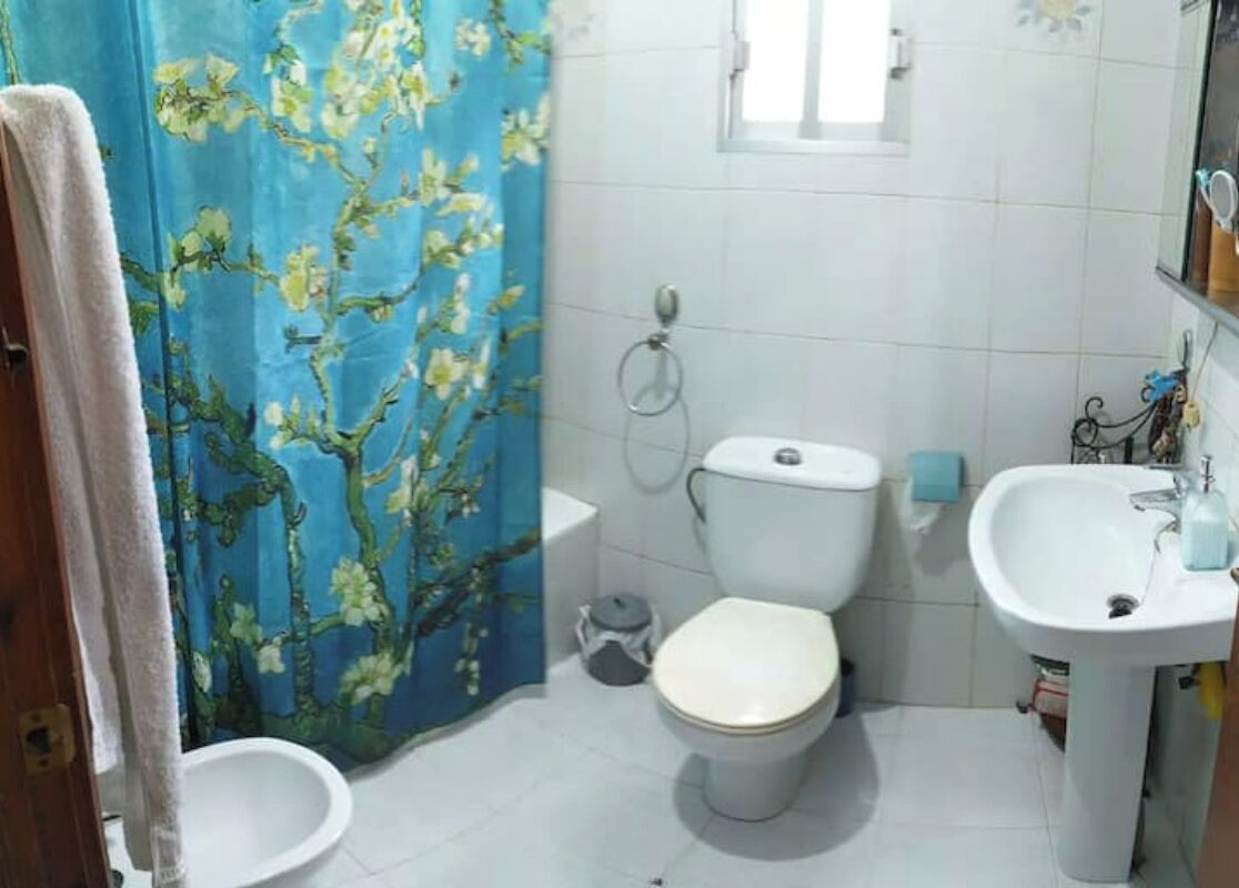 Regadera, secadora de cabello, bidet, toallas 