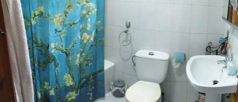 Regadera, secadora de cabello, bidet, toallas