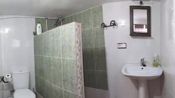 Een douche, een haardroger, een bidet, handdoeken