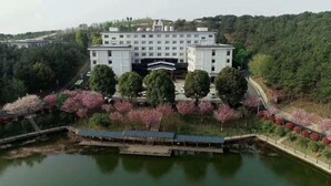 Ein großes, mehrgeschossiges Gebäude mit einer symmetrischen Fassade, umgeben von Wasser und einer Reihe von Bäumen mit rosa Blüten.